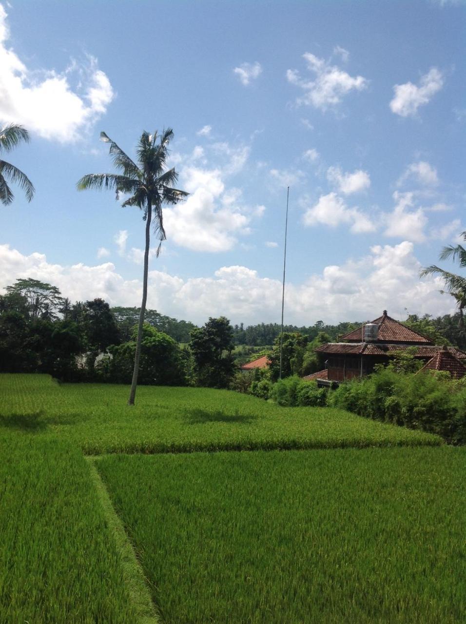 Uma Dhari Villa By Prasi Ubud Exteriér fotografie